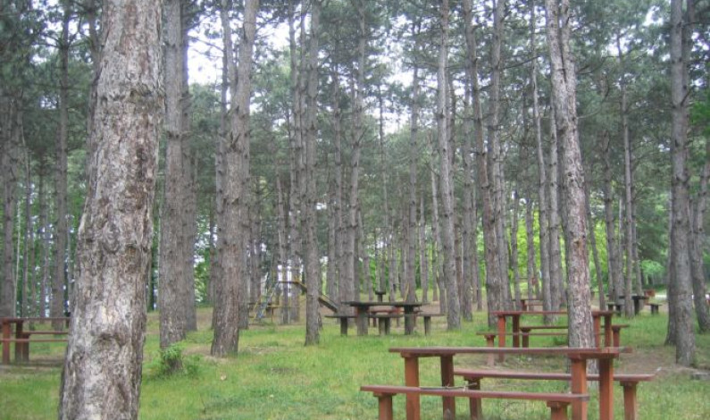 SAKARYA İL ORMANI TABİAT PARKI SAKARYA İL ORMANI TABİAT PARKI